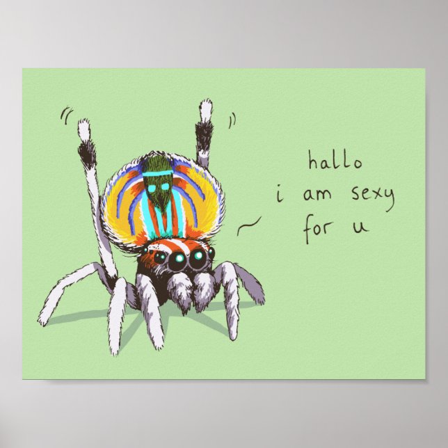 Cute Funny Colourful Peacock Spider Drawing Poster (Front)