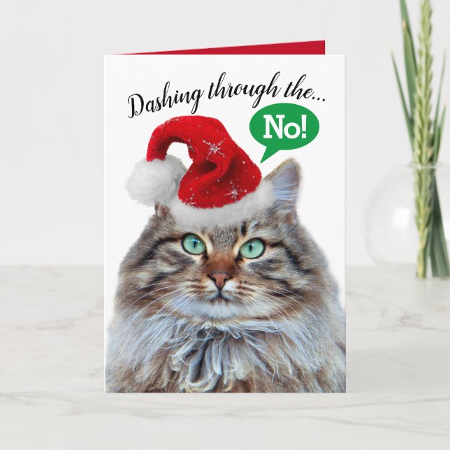 Cute Funny Dashing Through The Snow Cat Holiday Card (Front)