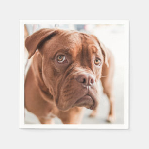 Cute & Funny Dog paper napkins