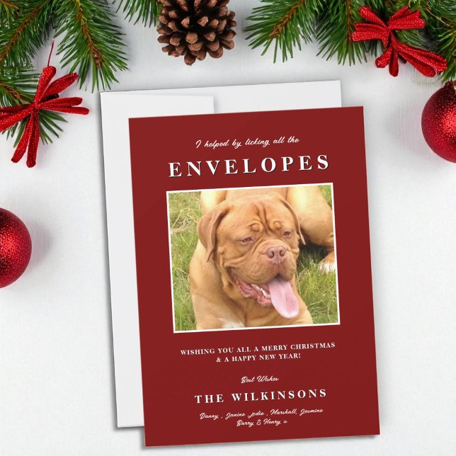 Cute funny  Dog Red White Herringbone  Holiday Card (Creator Uploaded)