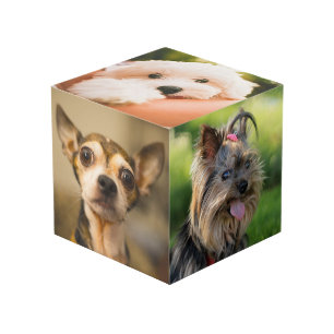 Cute & Funny Dogs (and / or YOUR photos) cube