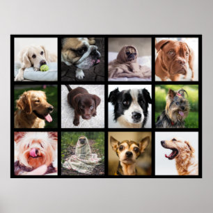 Cute & Funny Dogs Photo Collage Poster 1