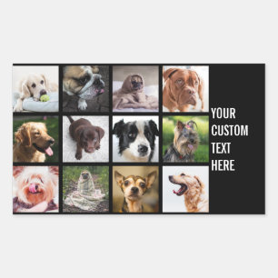 Cute & Funny Dogs Photo Collage stickers