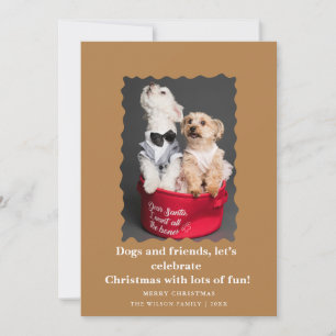 Cute Funny Dogs Saying Christmas Holiday Card 