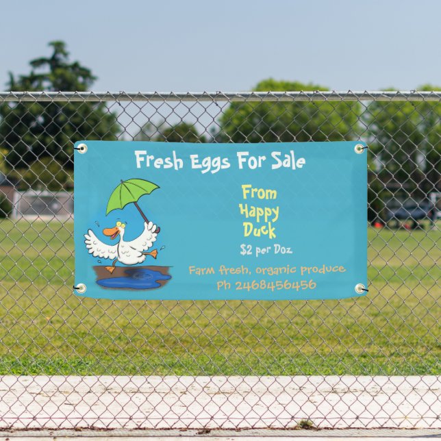Cute funny duck cartoon eggs for sale sign (Insitu)