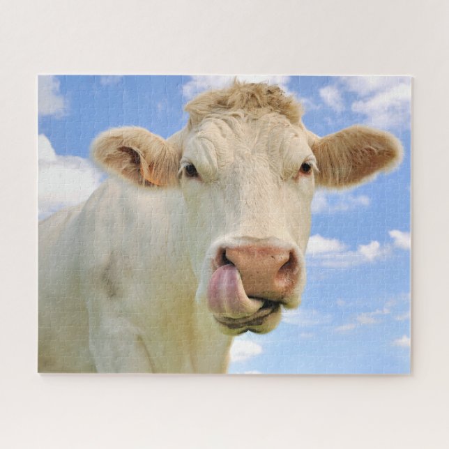 Cute Funny Farm Charolais Cow Licking Nose Jigsaw Puzzle (Horizontal)