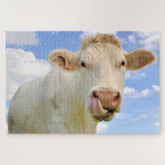 Cute Funny Farm Charolais Cow Licking Nose Jigsaw Puzzle (Horizontal)