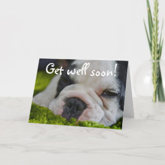 Cute Funny French Bull Dog Get Well Greeting Card