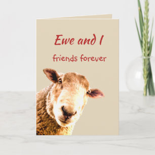 Cute Funny Friends Forever Sheep Animal Humour Thank You Card