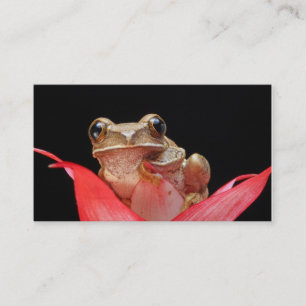Cute, Funny Frog in Lily Business Card