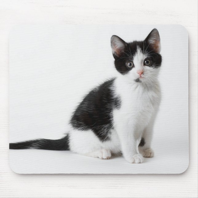 Cute Funny furry kitten black and white cat Mouse Pad (Front)