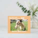 Cute Funny Goat Humour Custom Birthday Postcard<br><div class="desc">Cute goat in a lush green pasture looks out from the card at you and sends her funny birthday humour "You don't look that baaaaa'd for "Your Birthdate Year"! Back of postcard says "Just Kidding... .You look fabulous and I hope you have the best Birthday ever!" or customise with your...</div>