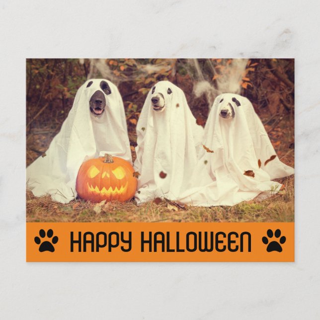 Cute Funny Halloween Ghost Dog Postcard (Front)