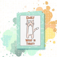 Cute Funny Kawaii Cat Cartoon Budget Birthday