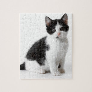 black and white cat jigsaw puzzle