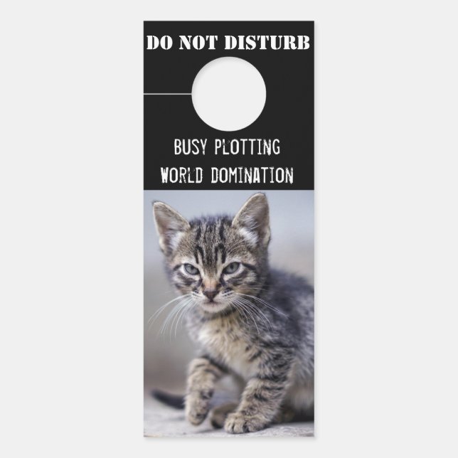 Cute Funny Kitten Do Not Disturb Door Hanger (Front)