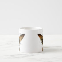 Cute Funny Little Miniature Dog