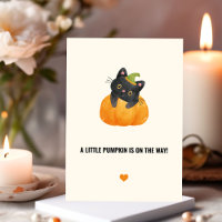 Cute Funny Little Pumpkin on Way Black Cat