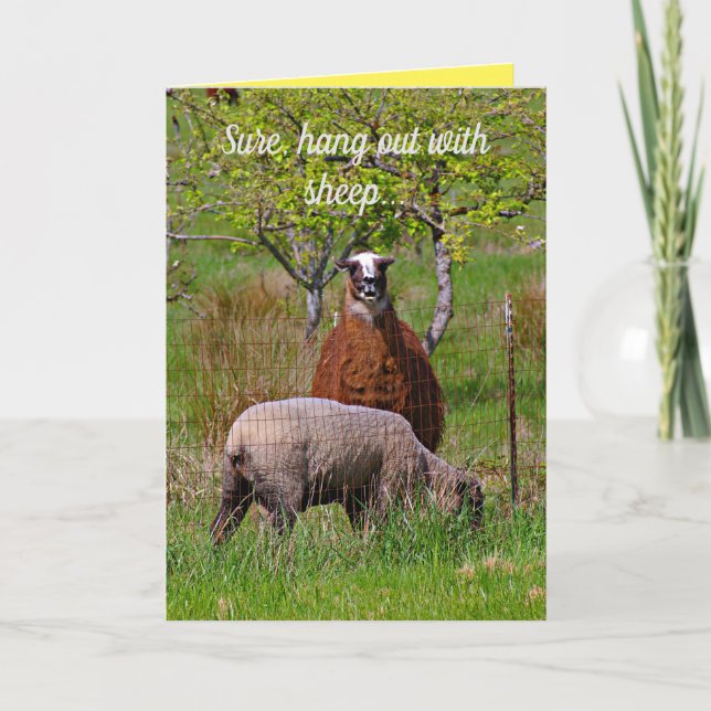 Cute, Funny Llama Encouragement Greeting Card (Front)