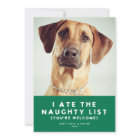 Cute Funny Naughty List Pet Holiday Photo Card