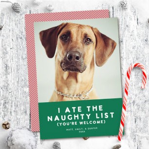 Cute Funny Naughty List Pet Holiday Photo Card