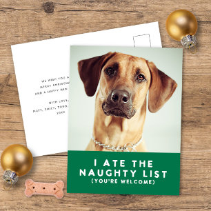 Cute Funny Naughty List Pet Photo Christmas Green Holiday Postcard