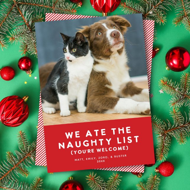 Cute Funny Naughty List Pet Photo Christmas Red Holiday Card (Creator Uploaded)