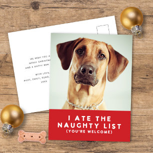 Cute Funny Naughty List Pet Photo Christmas Red Holiday Postcard