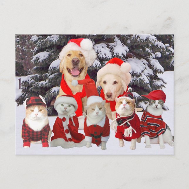Cute/Funny Pet Business Holiday Client Post Card (Front)