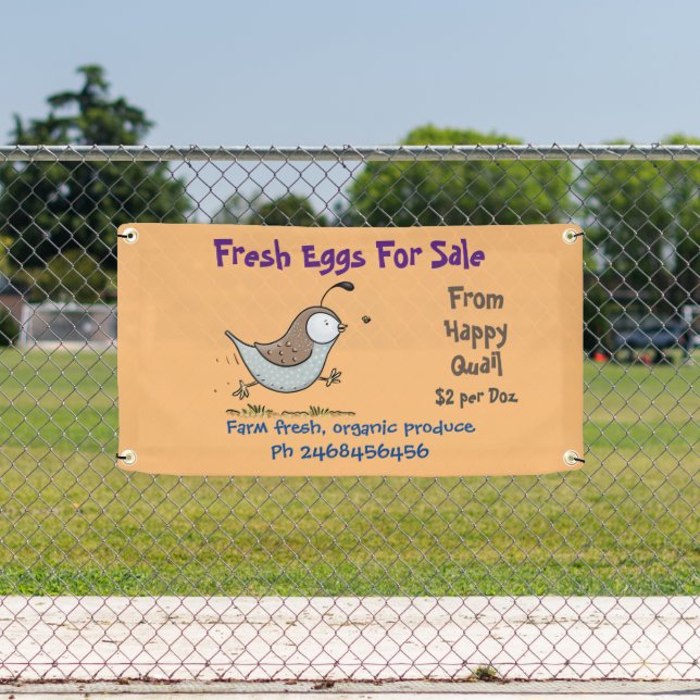 Cute funny quail cartoon eggs for sale sign (Insitu)