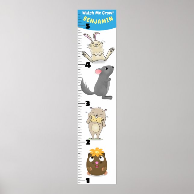 Cute funny rodents animals cartoon growth chart (Front)