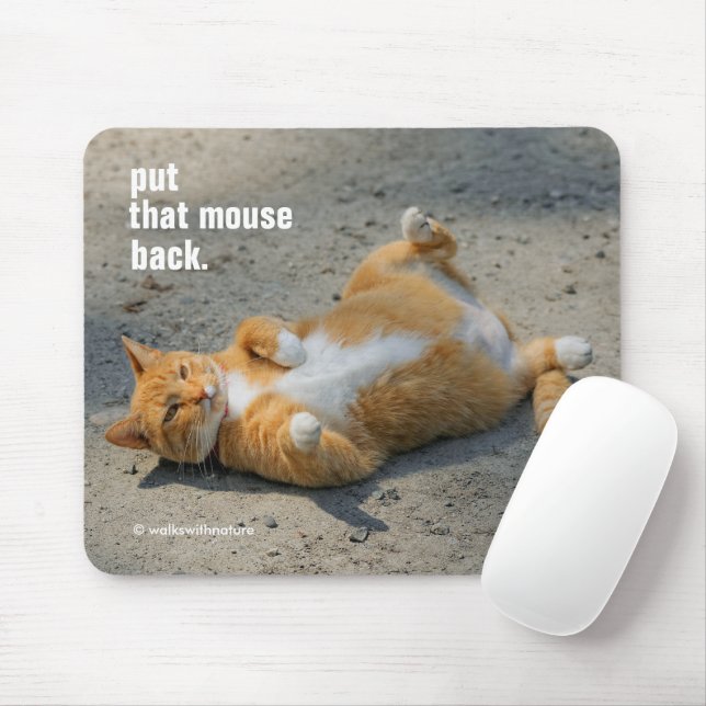 Cute Funny Shadowboxing Orange Cat in the Gravel Mouse Pad (With Mouse)