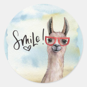 Cute Funny Smile Llama Classic Round Sticker