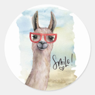 Cute Funny Smile Llama Classic Round Sticker