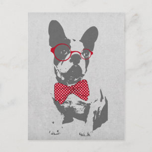 Cute funny trendy vintage animal French bulldog Postcard
