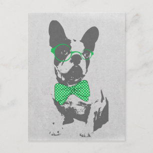 Cute funny trendy vintage animal French bulldog Postcard