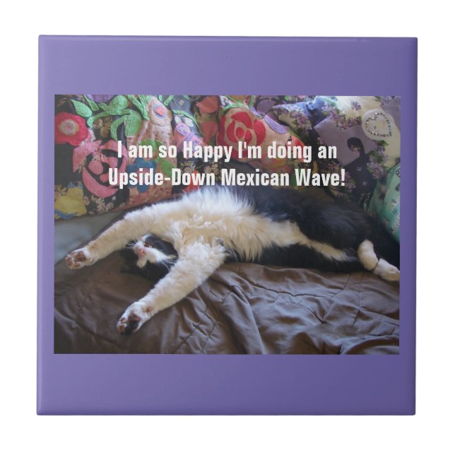 Cute Funny Tuxedo Cat Mexican Wave cats Ceramic Tile (Front)