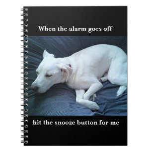 Cute Funny White Labrador Mix Dog Sleeping Black Notebook