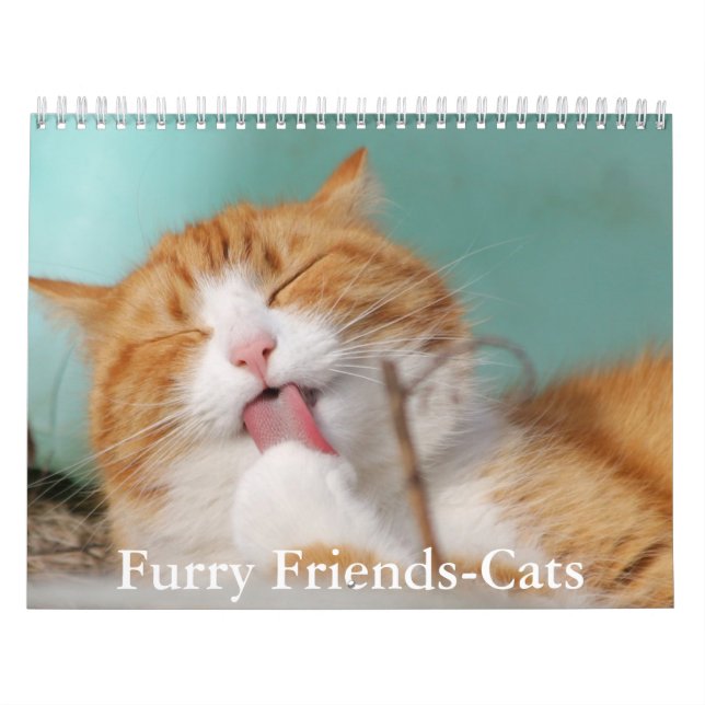 Cute Furry Friends Cat Calendar (Cover)