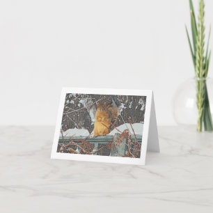"CUTE FURRY SQUIRREL ON SNOWY FENCE"/ DIG.MANIP. CARD