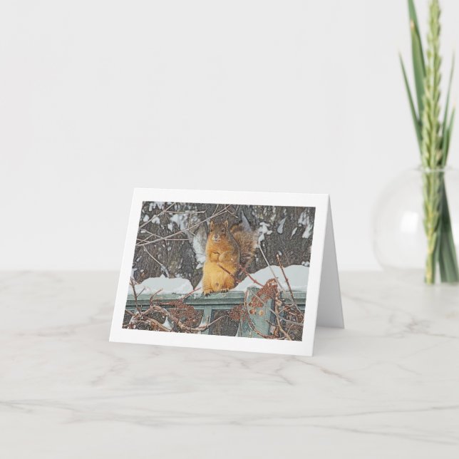 "CUTE FURRY SQUIRREL ON SNOWY FENCE"/ DIG.MANIP. CARD (Front)