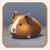 Cute Furry Sweet Guinea Pig #12