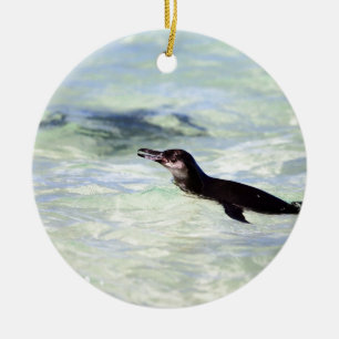 Cute Galapagos penguin swimming Ceramic Ornament