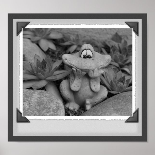 Cute Garden Frog Black And White Snapshot Poster (Front)