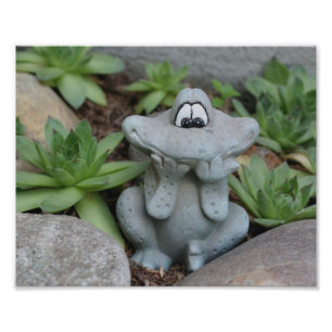 Cute Garden Frog Succulent Garden 8x10  Photo Print