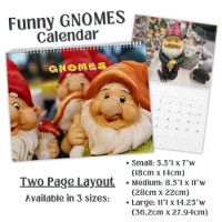 Cute Garden Gnome Photography