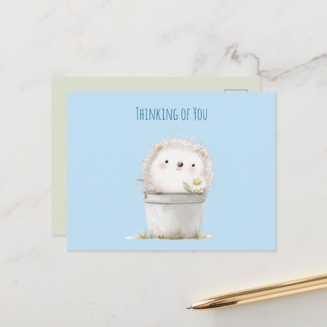 Cute Garden Hedgehog Thinking of you Postcard (Front/Back In Situ)