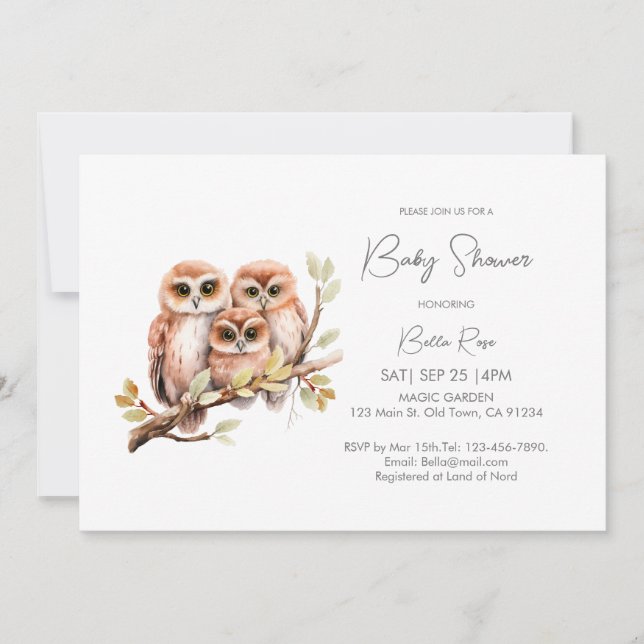Cute Gender Neutral Owl Baby Shower  Invitation (Front)