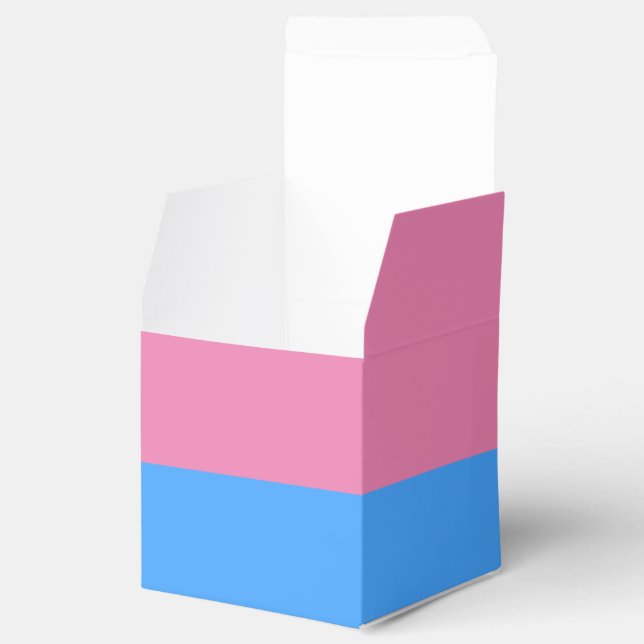 Cute Gender Reveal Ideas,  Favour Box (Opened)