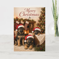 Cute German Shepherd Dog Puppies Merry Christmas